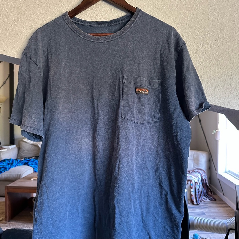 Patagonia tee